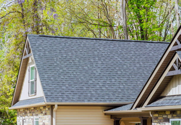 Best Skylight Installation and Repair  in Suamico, WI